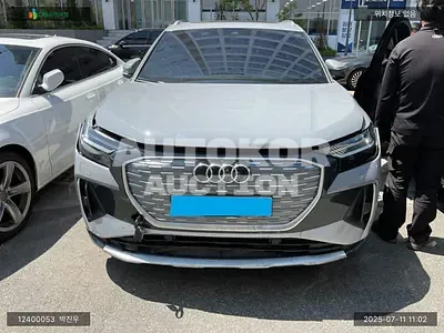 2022, Audi / e-tron, electric