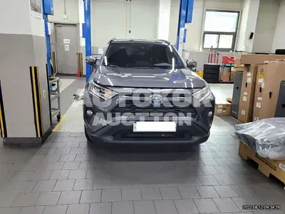 2019, Toyota / RAV4, VIN: JTMW2RFV2KD505268, 24009 км., hybrid