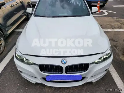 2018, BMW / 330, VIN: WBA8B9100JA826288, 100000 км., gas