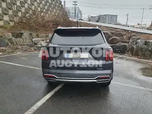 2021, Kia / Sorento, VIN: KNARL81BGMA097542, diesel