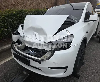 2024, Tesla / Model Y, VIN: LRWYGCFSXRC494286, electric