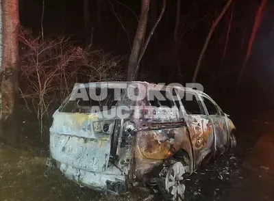 2019, Kia / Carnival, gas