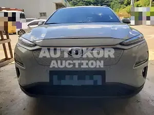 2019, Hyundai / Kona, VIN: KMHK281GFKU036408, 41332 км., electric, 180 куб.см.