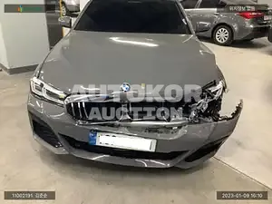 2021, BMW / 530, gas