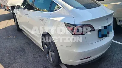 2019, Tesla / Model 3, VIN: 5YJ3E1EA4LF584771, 66951 км., electric, 150 куб.см.