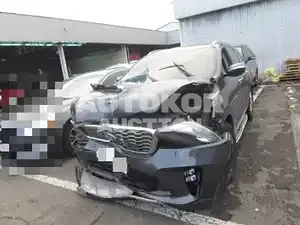 2019, Kia / Sorento, VIN: KNAPK81ABLA556798, diesel, 1995 куб.см.