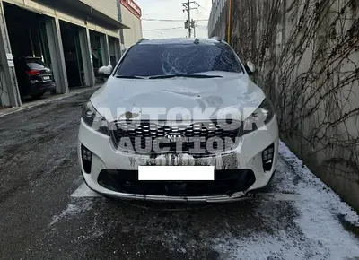 2019, Kia / Sorento, VIN: KNAPG81BBKA487503, diesel