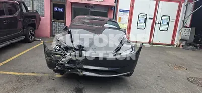 2026, Tesla / Model 3, electric