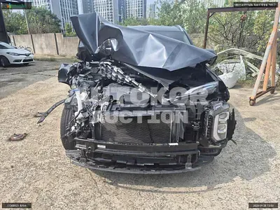 2020, Hyundai / Palisade, VIN: KMHR281EBMU197601, 74354 км., gas, 3778 куб.см.