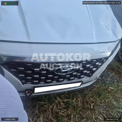 2019, Hyundai / Santa FE, VIN: KMHS381ABLU205877, 51819 км., gas, 1998 куб.см.