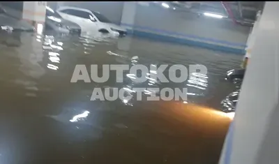 2022, Kia / Sorento, VIN: KNARK81GBNA062336, hybrid, 1598 куб.см.