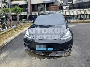 2020, Tesla / Model 3, VIN: 5YJ3E1EBXLF774003, 131524 км., electric