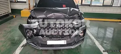 2020, Hyundai / Santa FE, VIN: KMHS581ADLU218642, gas