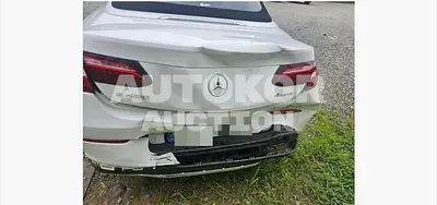 2023, Mercedes-Benz / E 450, VIN: W1K2384591F192352, gas, 2999 куб.см.