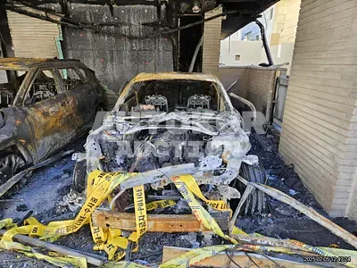 2019, Ford / Mustang GT, gas