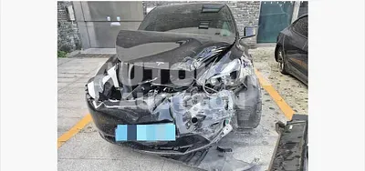 2024, Tesla / Model Y, electric, 173 куб.см.