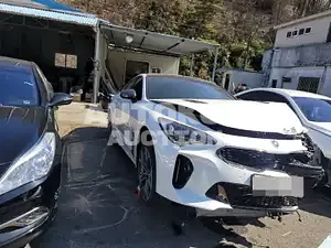 2020, Kia / Stinger, VIN: KNAE751CBLS082686, gas