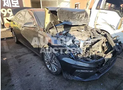 2019, Kia / K5, VIN: KNAGU411BKA265258, gas