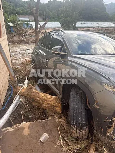 2024, Hyundai / Tucson, VIN: KMHJE811BRU297071, hybrid