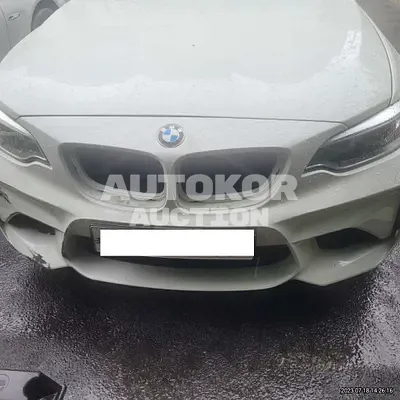 2017, BMW / M2, VIN: WBS1H9100H7A18951, gas