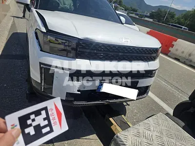 2024, Hyundai / Santa FE, VIN: KMHP5811BRU068494, hybrid, 1598 куб.см.