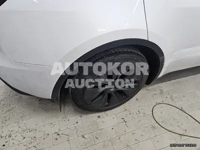 2024, Tesla / Model Y, unknown