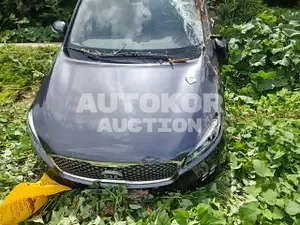 2016, Kia / Sorento, VIN: KNAPH81ABHA277304, diesel