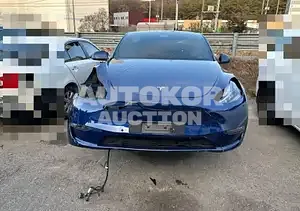 2021, Tesla / Model Y, electric