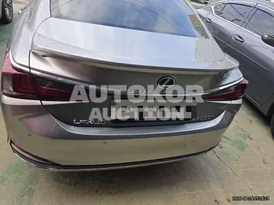 2019, Lexus / es300h, 76602 км., hybrid