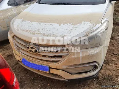 2016, Hyundai / Santa FE, VIN: KMHSW81UBGU582129, diesel