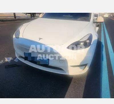 2023, Tesla / Model Y, VIN: LRWYGCFS3RC176994, 43573 км., electric