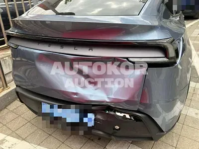 2025, Tesla / Model Y, 301 км., electric
