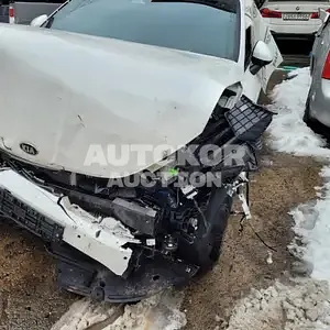 2021, Kia / K5, VIN: KNAG6412BMA116353, gas