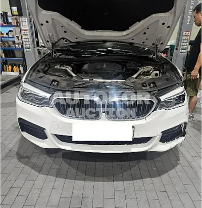 2019, BMW / 520d, VIN: WBAJF3100KBS70367, 111267 км., diesel