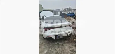 2025, Kia / K5, gas, 1598 куб.см.