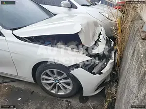 2016, BMW / 320, VIN: WBA8C5100GK641036, diesel
