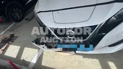 2019, Nissan / Leaf, 130000 км., electric