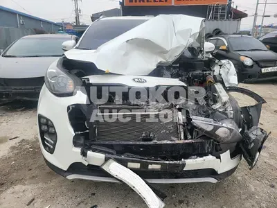 2018, Kia / Sportage, VIN: KNAP781ABJK490890, 35557 км., gas