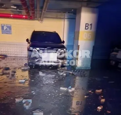 2023, Kia / Carnival, 100000 км., gas, 3500 куб.см.