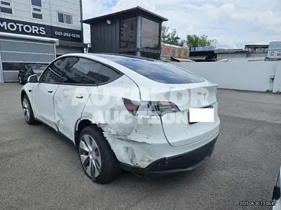 2024, Tesla / Model Y, VIN: LRWYGCF53RC207869, 9236 км., electric