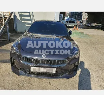 2017, Kia / Stinger, 116273 км., gas, 3300 куб.см.