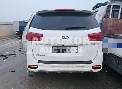 2019, Kia / Carnival, diesel, 2199 куб.см.