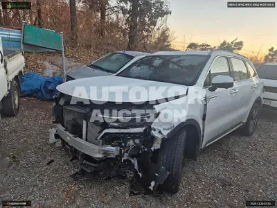 2022, Kia / Sorento, VIN: KNARF81GBNA126396, hybrid, 1598 куб.см.