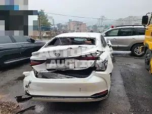 2019, Lexus / ES 300, VIN: JTHB21B19K2057964, hybrid