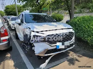2021, Hyundai / Santa FE, VIN: KMHS5811BNU030513, 2406 км., hybrid