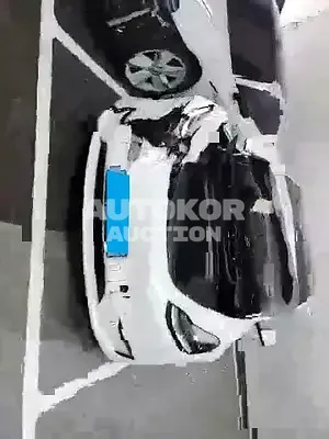 2022, Tesla / Model Y, VIN: 7SAYGDEE4NF496443, electric, 1 куб.см.