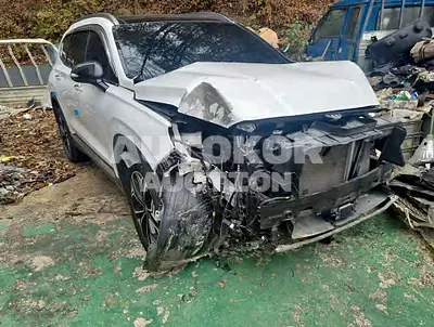 2019, Hyundai / Santa FE, VIN: KMHS381BBKU002426, diesel