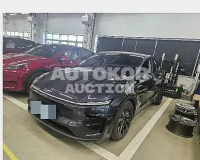2025, Tesla / Model Y, 9294 км., electric, 180 куб.см.