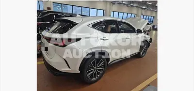 2023, Lexus / nx350h, 53676 км., hybrid, 2487 куб.см.