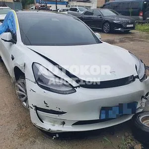 2021, Tesla / Model 3, VIN: 5YJ3E1EB9MF885577, 19607 км., electric